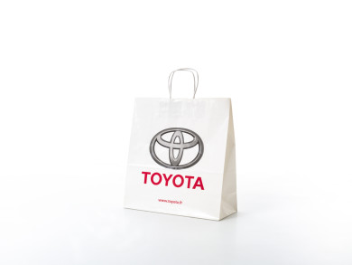 Shopping bag 32x13x34 H - Carta patinata 120 gr. - plastifica lucida - Stampa 2 colori retinato - maniglia carta ritorta